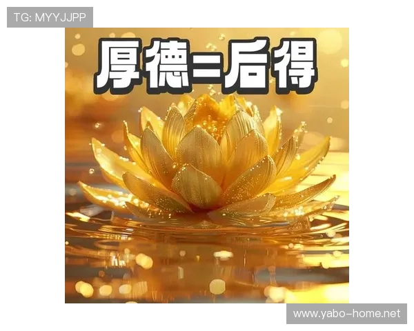 极富魅力与智慧的生活方式探索与财富自由实现之道