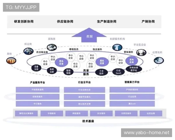 以9Y国际为中心构建全球数字生态创新与商业共赢新格局探索研究