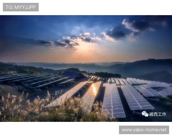 以利来体育引领全民健身新风潮打造综合运动服务生态平台发展蓝图